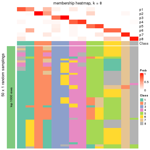 plot of chunk tab-node-021-membership-heatmap-7