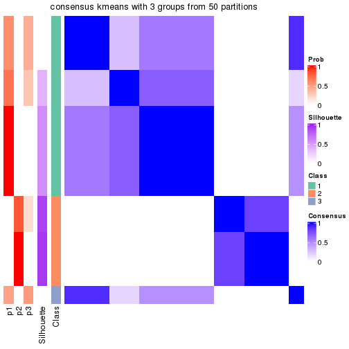 plot of chunk tab-node-03-consensus-heatmap-2