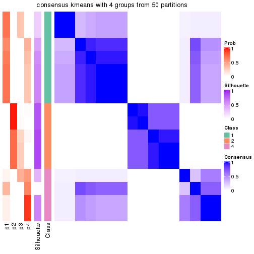 plot of chunk tab-node-03-consensus-heatmap-3