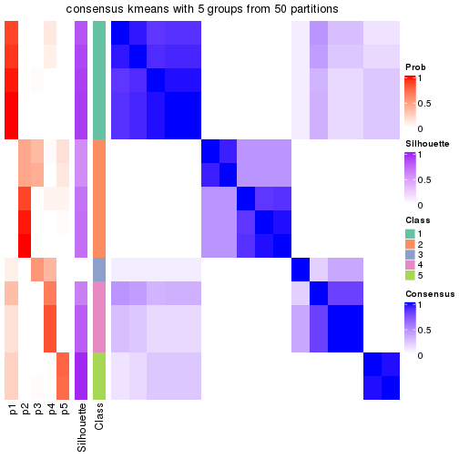 plot of chunk tab-node-03-consensus-heatmap-4