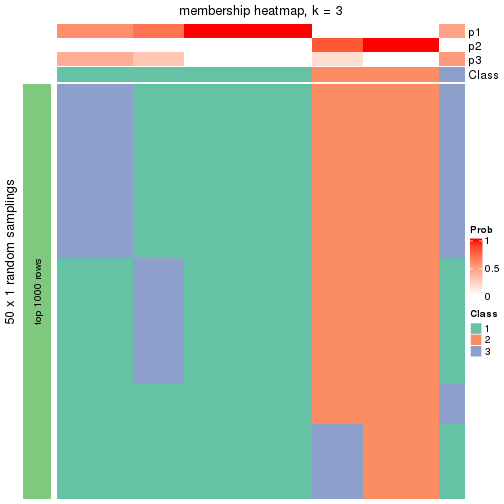 plot of chunk tab-node-03-membership-heatmap-2