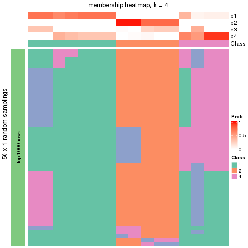 plot of chunk tab-node-03-membership-heatmap-3