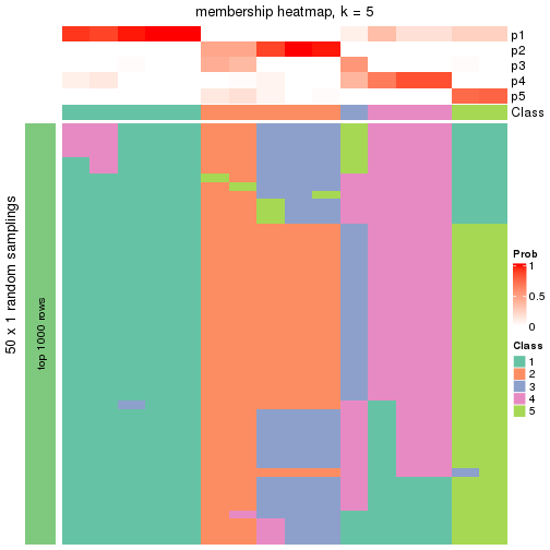 plot of chunk tab-node-03-membership-heatmap-4