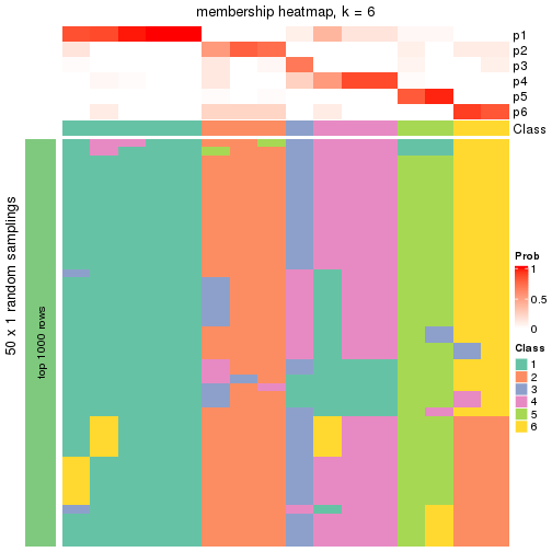 plot of chunk tab-node-03-membership-heatmap-5