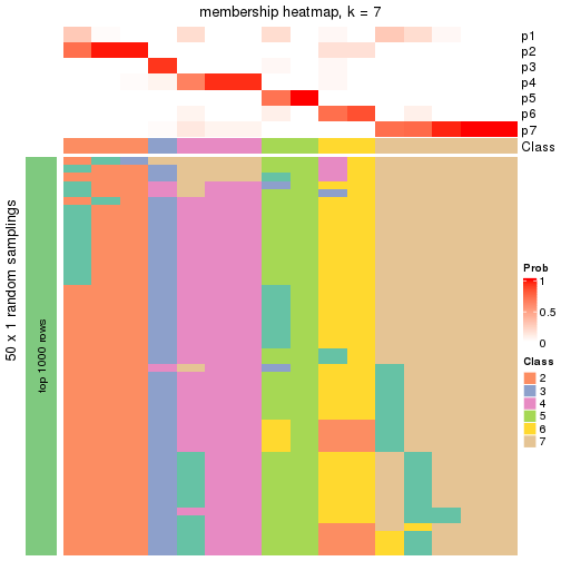 plot of chunk tab-node-03-membership-heatmap-6