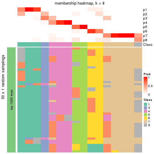 plot of chunk tab-node-03-membership-heatmap-7