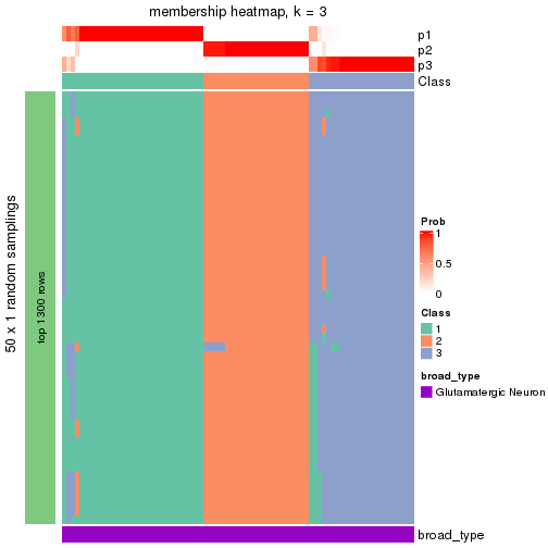 plot of chunk tab-node-0132-membership-heatmap-2