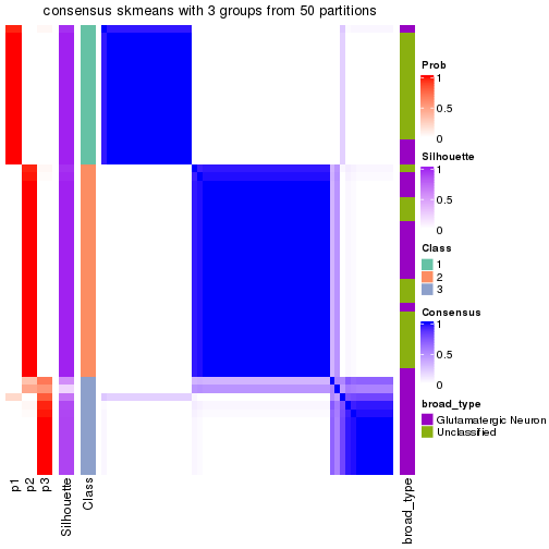 plot of chunk tab-node-023-consensus-heatmap-2