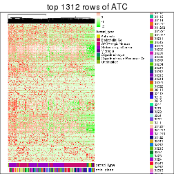 plot of chunk top-rows-heatmap