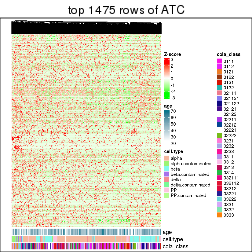 plot of chunk top-rows-heatmap