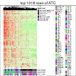 plot of chunk top-rows-heatmap